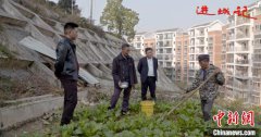 ​纪录电影《进城记》在京首映 真实记录异地扶贫搬迁后续帮扶之路